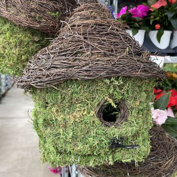 Calloway's Nursery - A Super-Cool Bird House - Nurseries & Gardening Near Me - Cedar Park, Texas