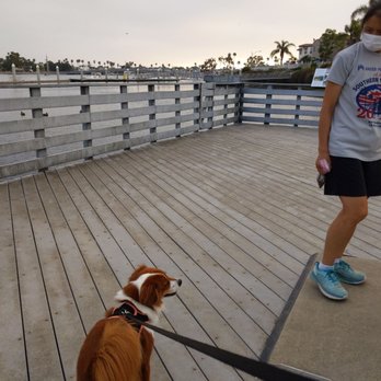 Jack Dunster Marine Reserve - Nice place to walk the dog - Parks Near Me - Long Beach, California Jack Dunster Marine Reserve - Nice place to walk the dog - Parks Near Me - Long Beach, California