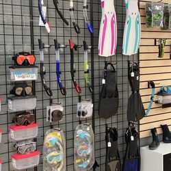 Performance Scuba - Masks, fins, booties & spearfishing!