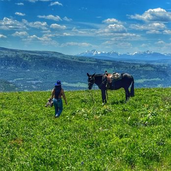 Horsetrack Outfitters - Horseback Riding Near Me - Pray, Montana Horsetrack Outfitters - Horseback Riding Near Me - Pray, Montana