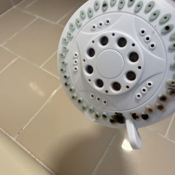 Durkin Cottage Realty - Unusable shower it was covered in mold - Apartments Near Me - Narragansett, Rhode Island Durkin Cottage Realty - Unusable shower it was covered in mold - Apartments Near Me - Narragansett, Rhode Island