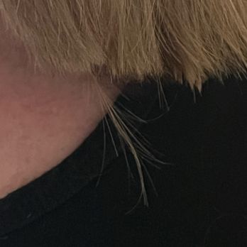 Mane Lounge - Bad hair cut. I'm still finding pieces hours later to cut! - Hair Salons Near Me - Novato, California