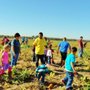 Photo of Flying Colors Learning Center