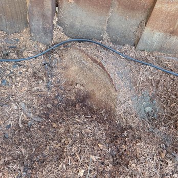 Aztec Tree Service - Tree Services Near Me Aztec Tree Service - Tree Services Near Me