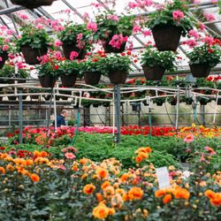 Marbott's Greenhouse & Nursery