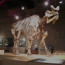 T-Rex Discovery Center
