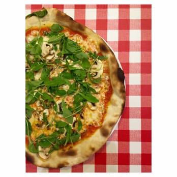 La Piccola Trattoria - Pizza funghi y rucola. Hasta el mantel nos encantó! - Italian Near Me - Cullera, V La Piccola Trattoria - Pizza funghi y rucola. Hasta el mantel nos encantó! - Italian Near Me - Cullera, V