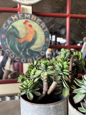 The Original Manassero Farms Market - Irvine by null