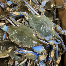Seafood Fresh