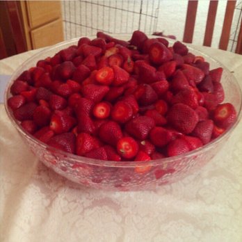 Terry Berries - Partial haul from jam day a few years ago! - Fruits & Veggies Near Me - Ventura, California Terry Berries - Partial haul from jam day a few years ago! - Fruits & Veggies Near Me - Ventura, California