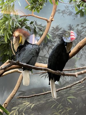 Prospect Park Zoo by null