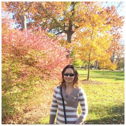 Glencoe Park - November 2016