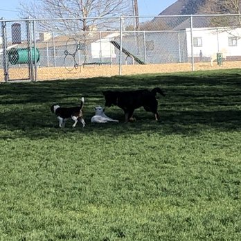 Spanish Fork Dog Park - Dog Parks Near Me - Spanish Fork, Utah Spanish Fork Dog Park - Dog Parks Near Me - Spanish Fork, Utah