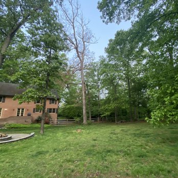 Myers and Laws Tree Service - a house in the background - Tree Services Near Me - Gaithersburg, Maryland