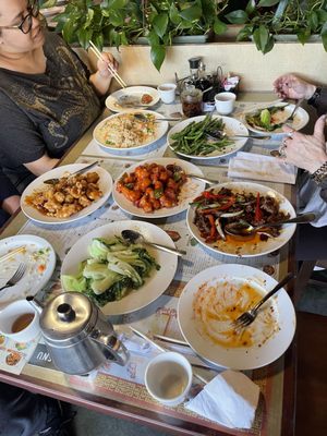 Tacoma Szechuan by null