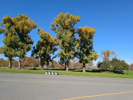 Irvine Regional Park by null