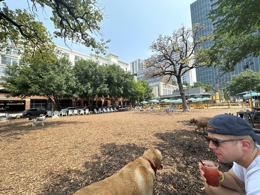 MUTTS Canine Cantina® - Dallas by null