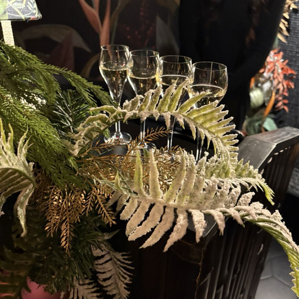 Callisto - Complementary drinks - Tiki Bars Near Me - Bentonville, Arkansas
