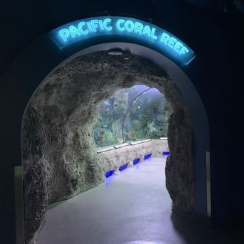 ABQ BioPark Aquarium - Aquariums Near Me - Albuquerque, New Mexico