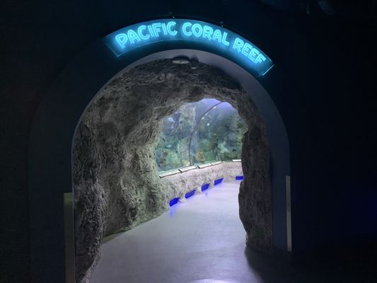 ABQ BioPark Aquarium by null