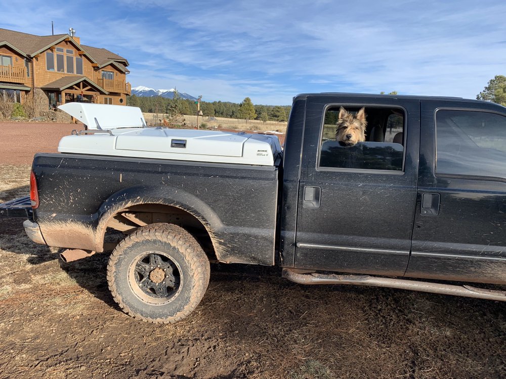 MOBILE EQUINE Updated October 2024 10 Photos Flagstaff, Arizona