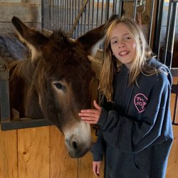 Derthick's Corn Maze - Sweetest donkey
