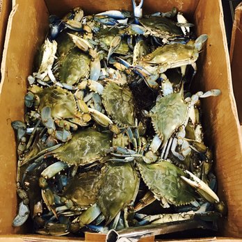 Omart - Live Blue Crabs - International Grocery Near Me - Killeen, Texas Omart - Live Blue Crabs - International Grocery Near Me - Killeen, Texas