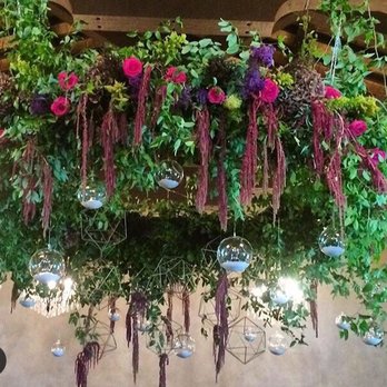 Ma Maison - Tall ceilings allowed us to get creative with the space (floral chandelier from bouquets of Austin) - Venues & Event Spaces Near Me - Dripping Springs, Texas Ma Maison - Tall ceilings allowed us to get creative with the space (floral chandelier from bouquets of Austin) - Venues & Event Spaces Near Me - Dripping Springs, Texas