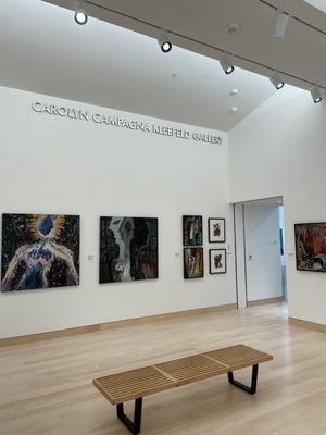Carolyn Campagna Kleefeld Contemporary Art Museum by null