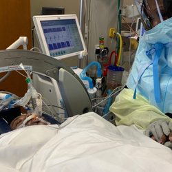 Giant - Leilani in hospital, ventalized due to COVID-19. She has died.