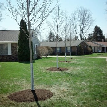 Fort Wayne Trees - Nurseries & Gardening Near Me - Columbia City, Indiana Fort Wayne Trees - Nurseries & Gardening Near Me - Columbia City, Indiana