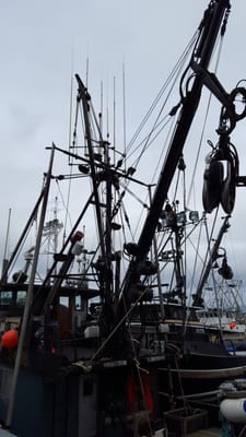 Fishermen's Terminal by null