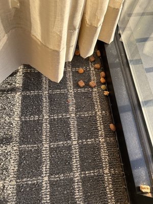 Oakland Airport Executive Hotel by null