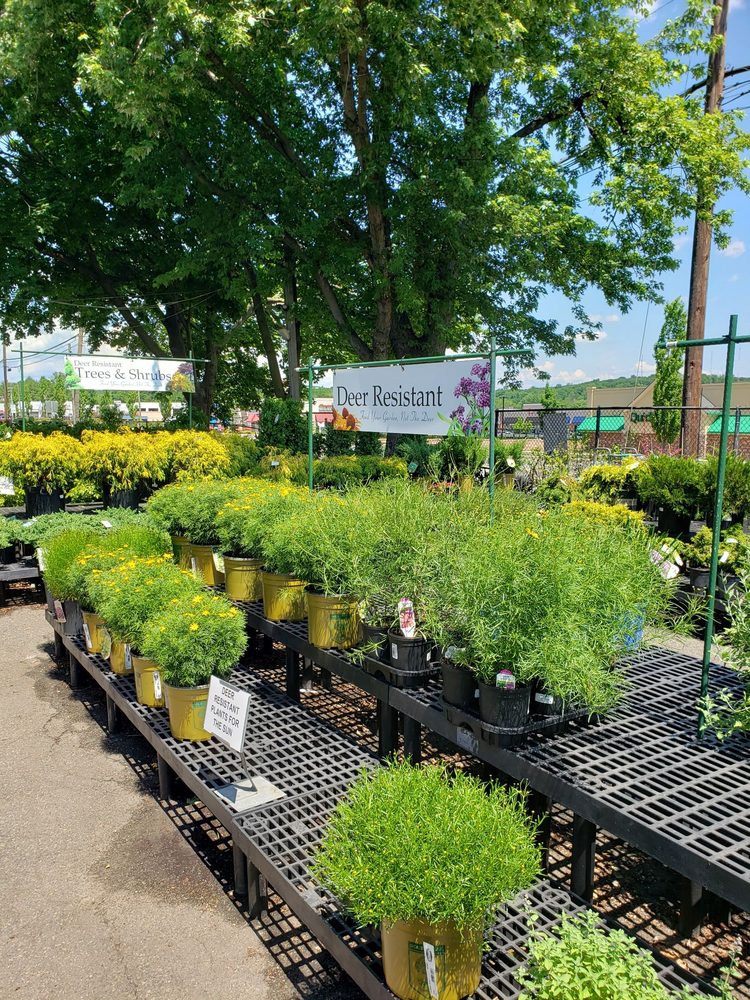 MORRISTOWN AGWAY Updated May 2024 40 Photos & 30 Reviews 176 Ridgedale Ave, Morristown