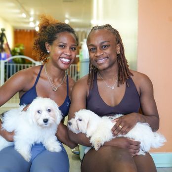 Lucky Pup Yoga - Yoga Near Me - Washington, DC, District of Columbia Lucky Pup Yoga - Yoga Near Me - Washington, DC, District of Columbia