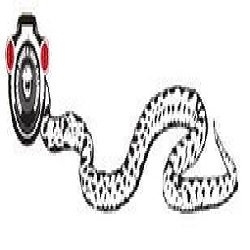 Slide of Anaconda Snake & Drain