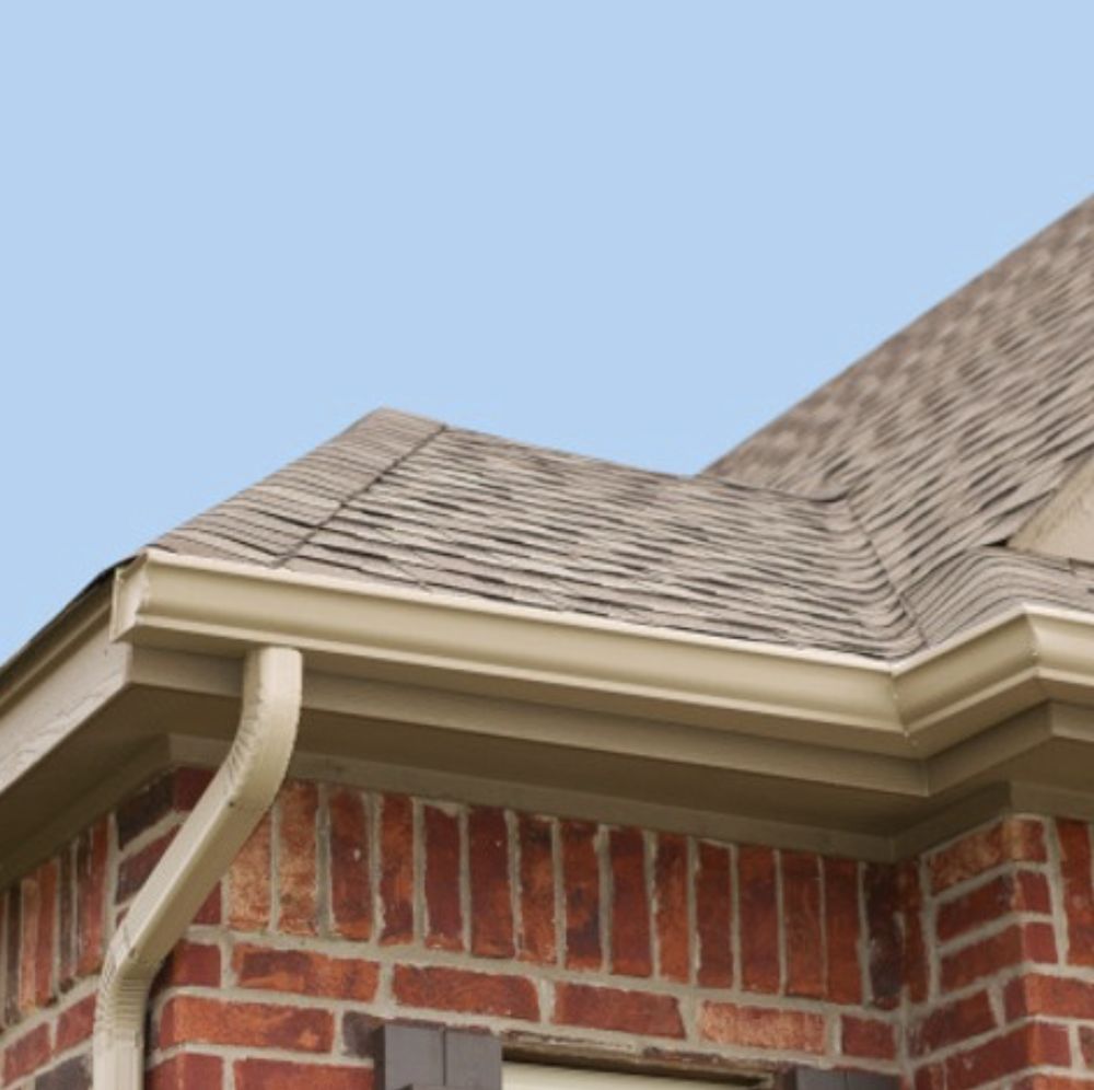 Slide of Gutter King