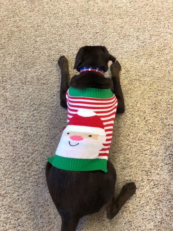 ALLSTATE INSURANCE RICH HEPNER Updated July 2024 1957 E A St