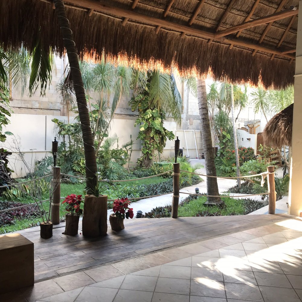 Petit Lafitte - Hotels Near Me - Playa del Carmen, ROO