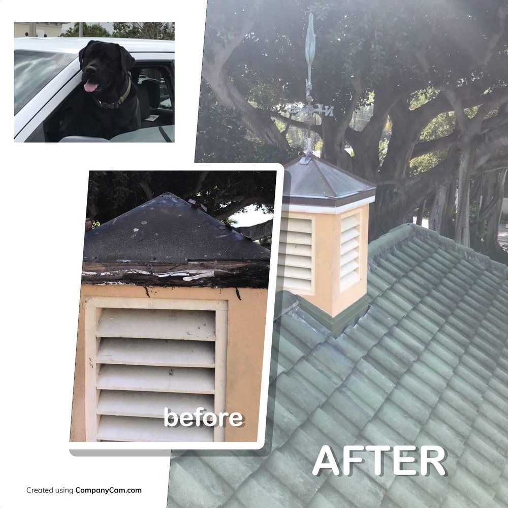 Slide of Blue Dog Roofing & Construction