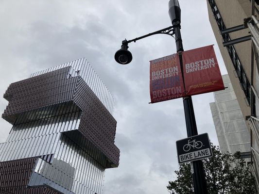 Boston University by null