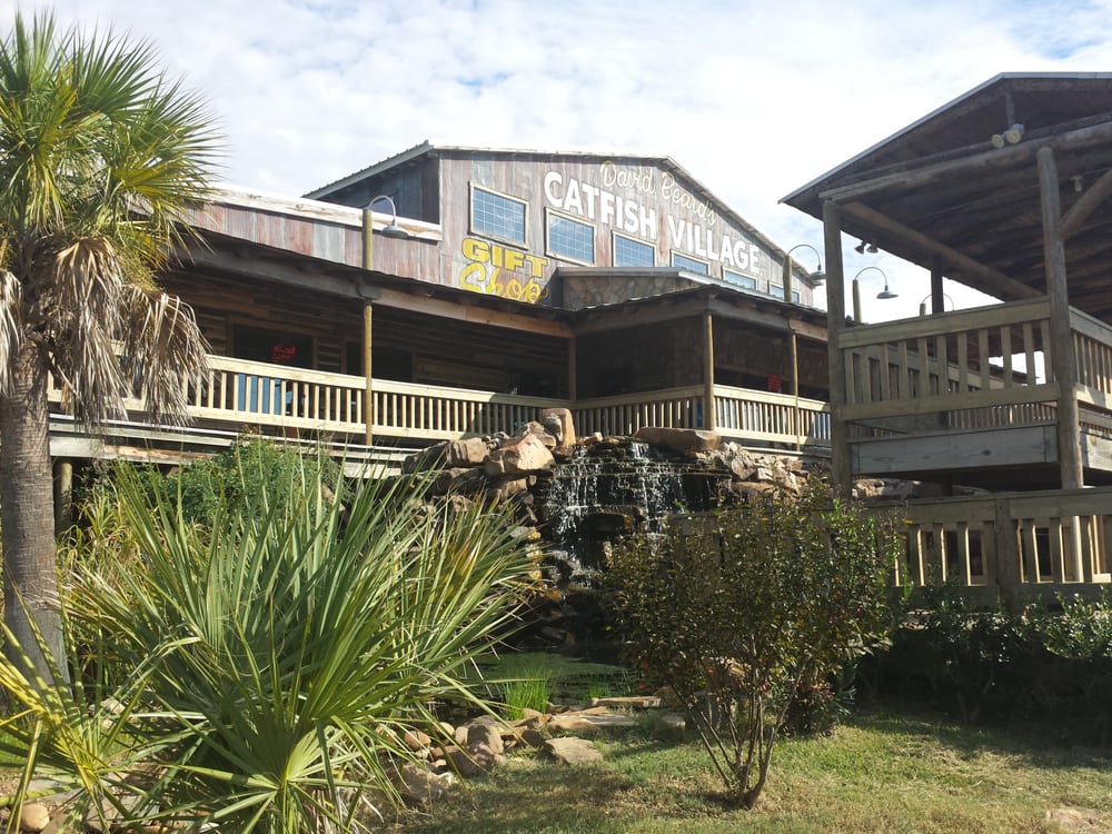 DAVID BEARDS CATFISH VILLAGE CLOSED Updated August 2024 12