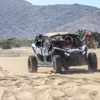 Cabo Adventures - Boat Tours Near Me - Cabo San Lucas, BCS Cabo Adventures - Boat Tours Near Me - Cabo San Lucas, BCS
