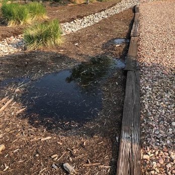 Hortus Tree & Landscape Services - Water buildup after 15 minutes of watering, sprinkler head are not straight. I would not recommend them to anyone at this time. - Landscaping Near Me - Colorado Springs, Colorado Hortus Tree & Landscape Services - Water buildup after 15 minutes of watering, sprinkler head are not straight. I would not recommend them to anyone at this time. - Landscaping Near Me - Colorado Springs, Colorado
