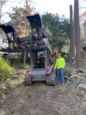 Tree Removal - Call 678-488-6942 to get a professional quote. Tree Removal - Call 678-488-6942 to get a professional quote.