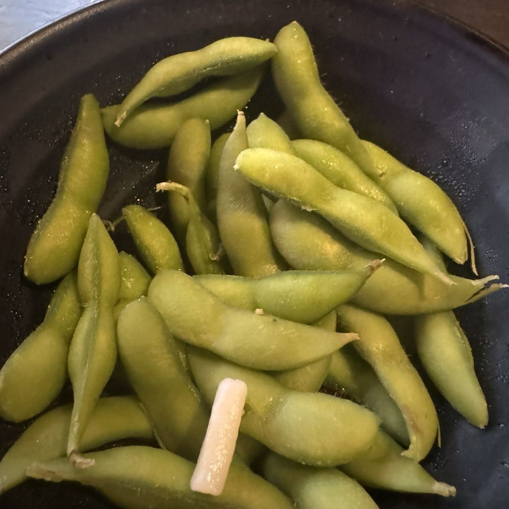 Udon noodle in my edamame Udon noodle in my edamame