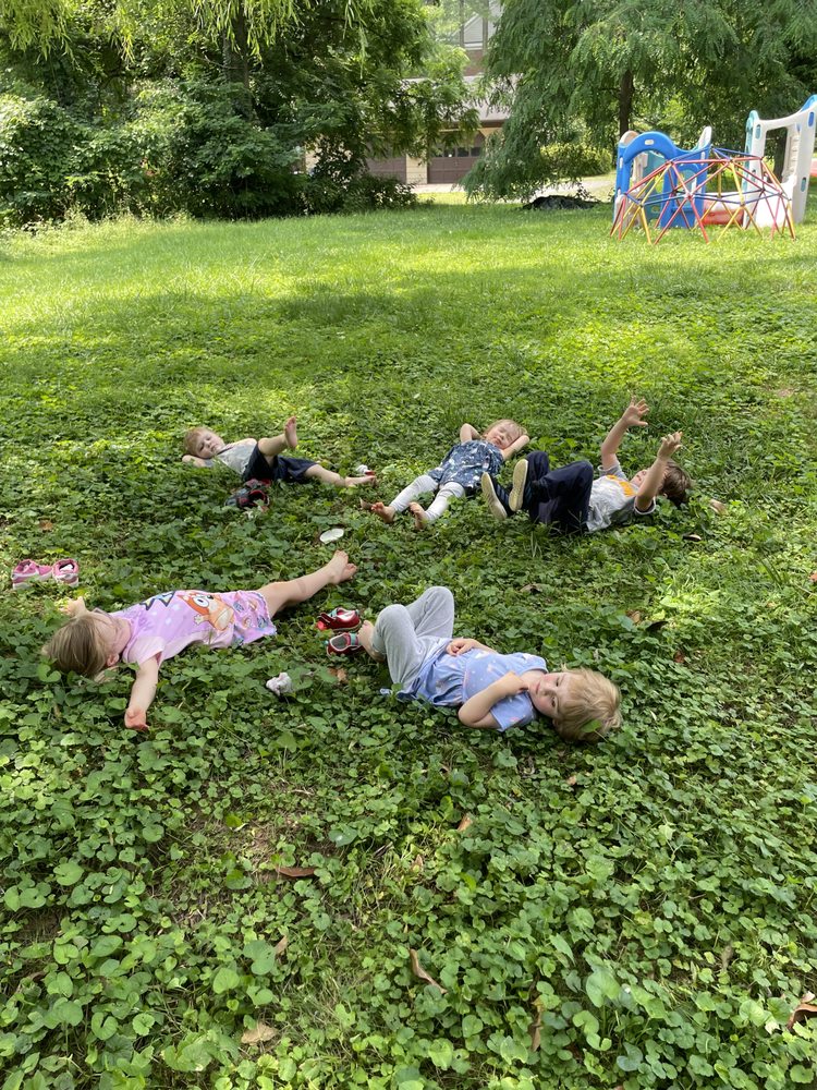 My Little Tree Daycare - childcare center in McLean, VA