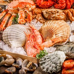 Seafood Connection - Find premium specialty seafood and shellfish here!