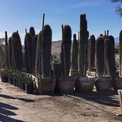 Sunland Landscape & Irrigation