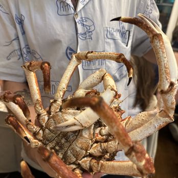 Cervejaria Ramiro - live spider crab! - Seafood Near Me - Lisbon, 11